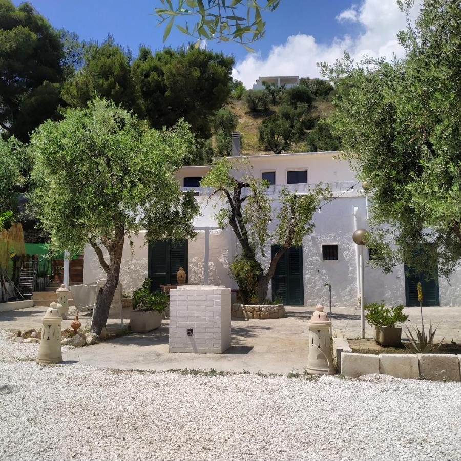 Petra Bianca Charming House Villa Mattinata Esterno foto