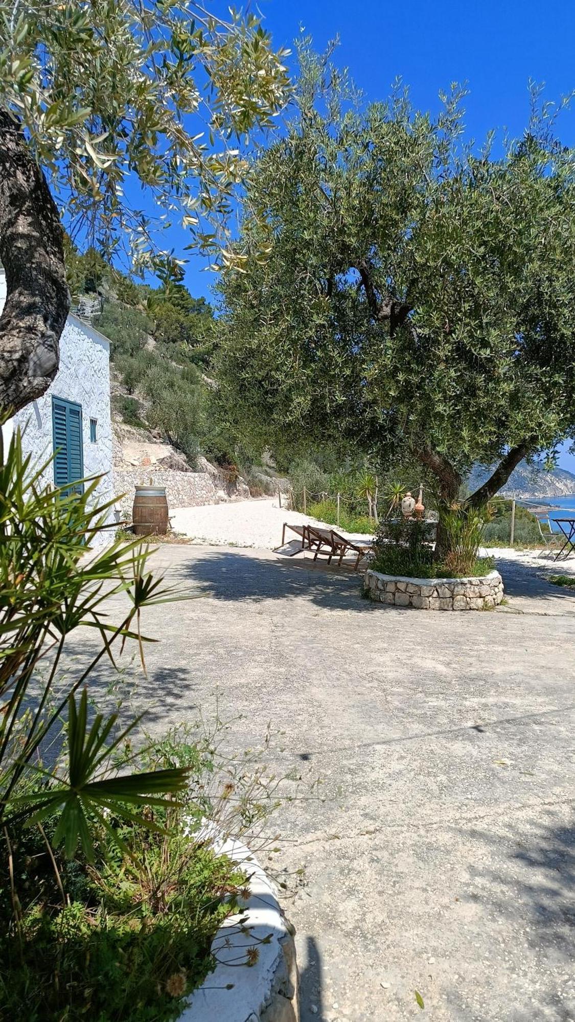 Petra Bianca Charming House Villa Mattinata Esterno foto